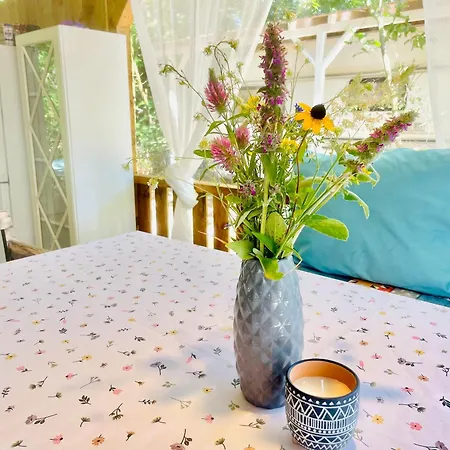 каравана безвремие