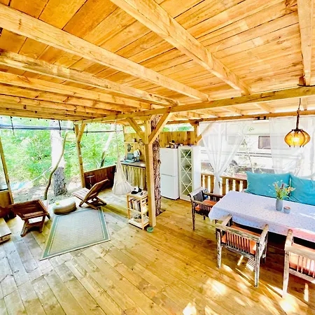 каравана безвремие *