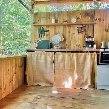 каравана безвремие Czernomorec