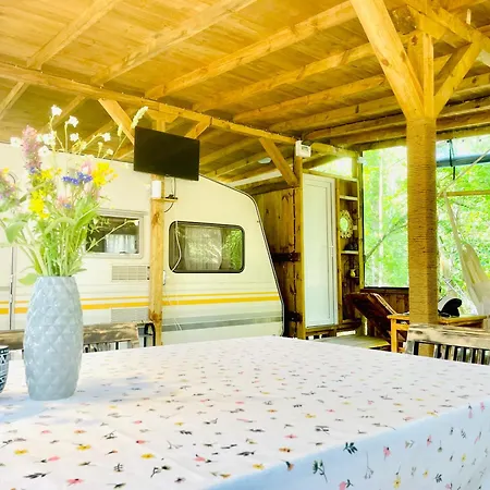 каравана безвремие