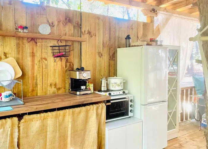 каравана безвремие 营地 *