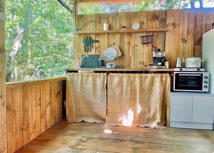 каравана безвремие 切尔诺莫雷茨